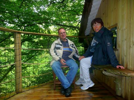 Tout en haut des arbres