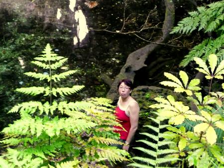 une jolie fleur dans la jungle