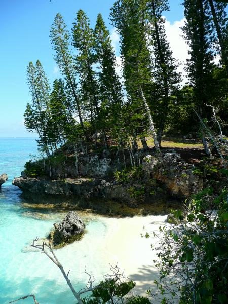 une crique d�serte pour les Robinsons